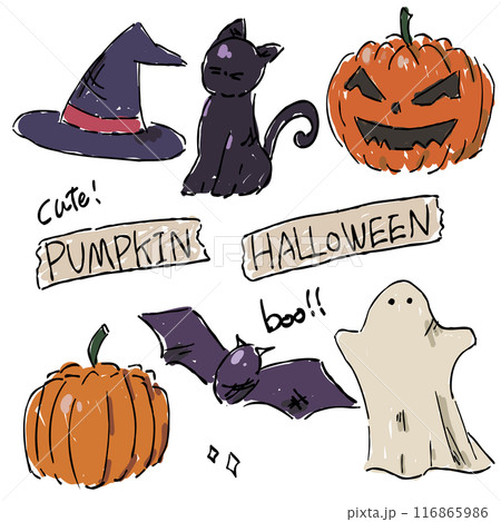 秋を彩る、ハロウィンのおしゃれな手描きイラストセット 秋を彩る、ハロウィンのおしゃれな手描きイラストセット 116865986