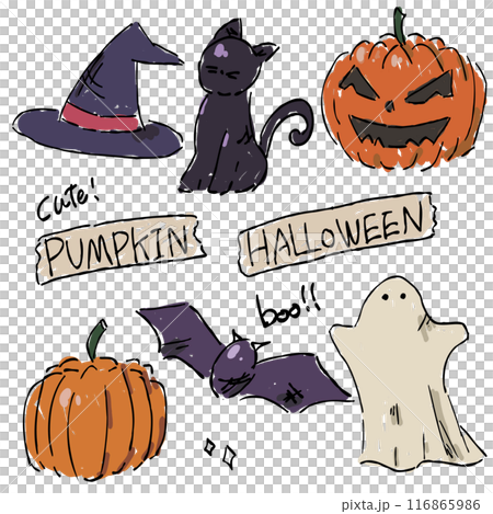 秋を彩る、ハロウィンのおしゃれな手描きイラストセット 秋を彩る、ハロウィンのおしゃれな手描きイラストセット 116865986