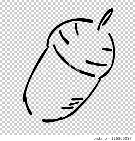 秋を彩る、どんぐりのおしゃれな手描きイラスト　線画のみ 116866057