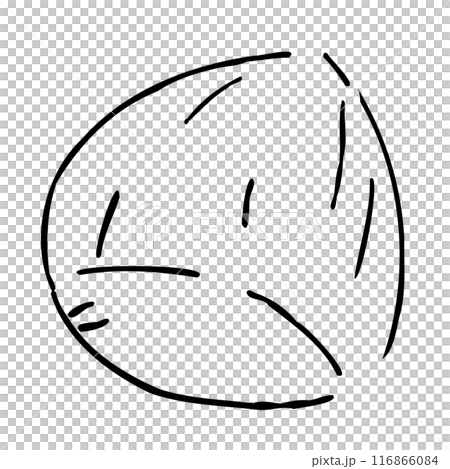 Stylish hand-drawn illustration of chestnuts to brighten up autumn (line drawings only) 116866084