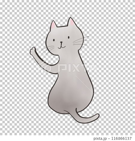 いろいろなシーンに合わせやすい_ふりむき猫 116866137