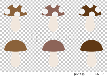 Cute mushrooms Cute mushrooms 116866163