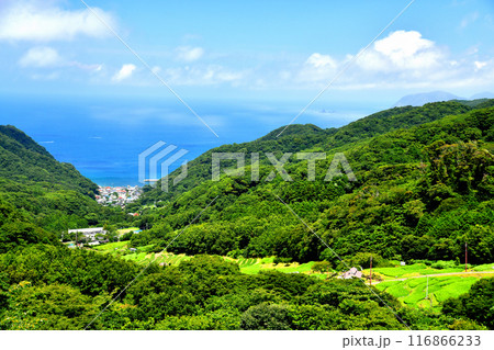 石部棚田／石部海水浴場周辺を望む(静岡県松崎町)【2024.7】 116866233