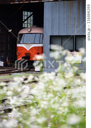 花咲く南部縦貫鉄道旧七戸駅の機関庫に佇むレールバス 116866269