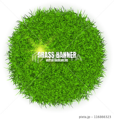 Green grass banners, background. Field, meadow texture, grassy landscape. Organic, bio, eco and natural lifestyle design elements. Ecology and environment protection. Vector illustration 116866323