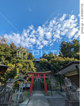 秋空に映える神社の鳥居 秋空に映える神社の鳥居 116866556