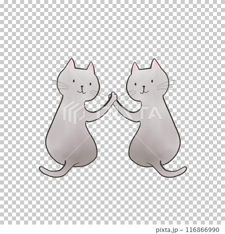 Easy to match with various scenes_Looking back cat Easy to match with various scenes_Looking back cat 116866990