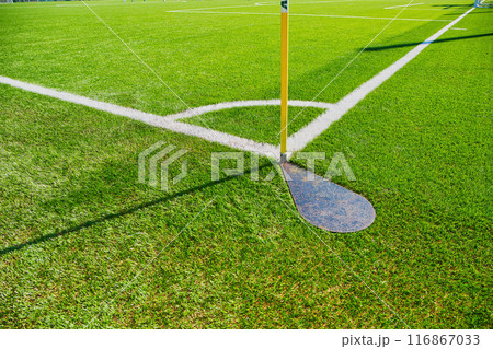 整備されたサッカー場のサッカーグラウンド サッカー場 サッカーグラウンド サッカー 新緑 整備されたサッカー場のサッカーグラウンド サッカー場 サッカーグラウンド サッカー 新緑 116867033