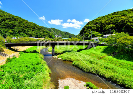 湯けむり橋／青野川より下流方向を望む(静岡県南伊豆町)【2024.7】 116868307