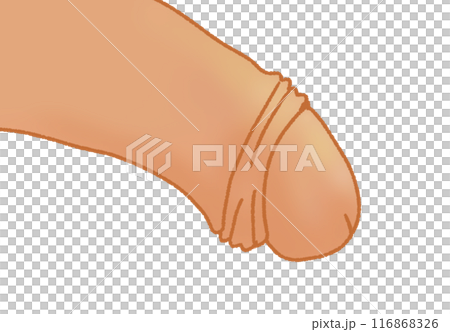 Simple penis color illustration 116868326