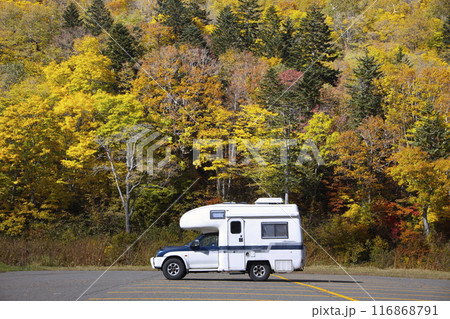 黄葉とキャンピングカー 116868791