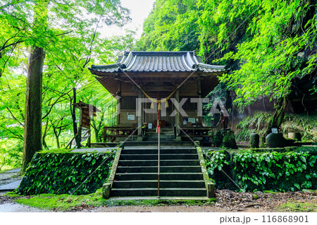 夏の八女津媛神社　福岡県八女市 116868901