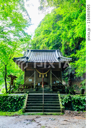 夏の八女津媛神社　福岡県八女市 116868905