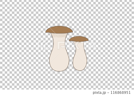 きのこのえりんぎ 116868951