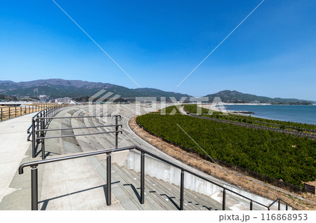 【岩手陸前高田】高田松原の防潮堤 116868953