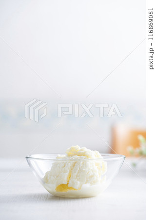 バニラアイスクリーム バニラアイスクリーム 116869081