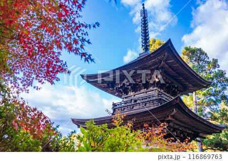 【長野県】大法寺三重塔　国宝 116869763