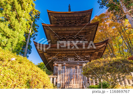 【長野県】大法寺三重塔　国宝 116869767