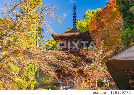 【長野県】大法寺三重塔 国宝 【長野県】大法寺三重塔 国宝 116869770