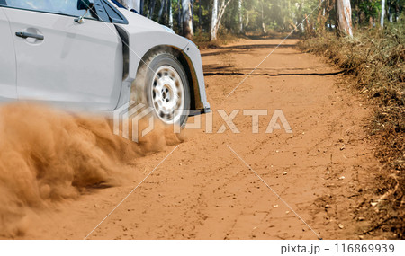 Rally racing car in special stages on dirt track. 116869939