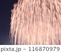 夏♪パッと咲いた瞬間の花火を感動と一緒に記憶 116870979