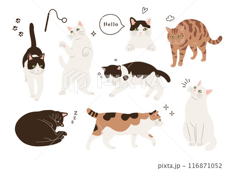 いろいろな柄とポーズの猫のイラスト いろいろな柄とポーズの猫のイラスト 116871052