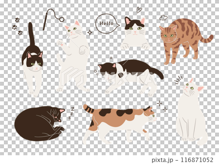 いろいろな柄とポーズの猫のイラスト いろいろな柄とポーズの猫のイラスト 116871052