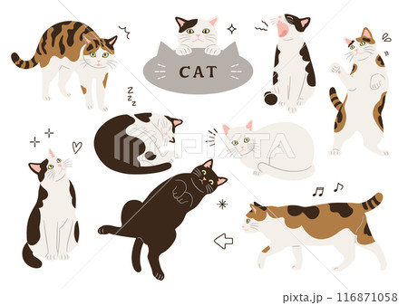 いろいろな柄とポーズの猫のイラスト 116871058