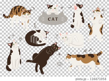 いろいろな柄とポーズの猫のイラスト 116871058