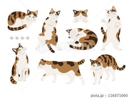 かわいい三毛猫のいろんなポーズのイラスト かわいい三毛猫のいろんなポーズのイラスト 116871060