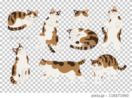 かわいい三毛猫のいろんなポーズのイラスト かわいい三毛猫のいろんなポーズのイラスト 116871060