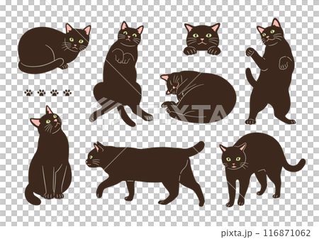 Illustration of cute black cats in various poses 116871062
