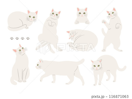 かわいい白猫のいろいろなポーズのイラスト かわいい白猫のいろいろなポーズのイラスト 116871063