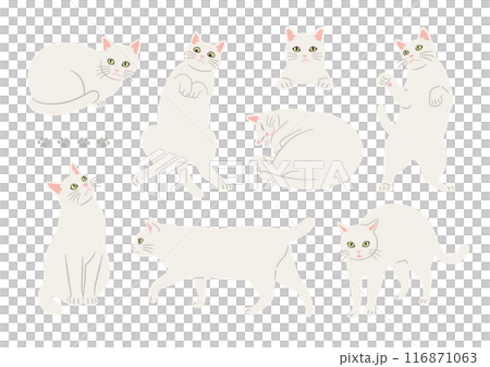 かわいい白猫のいろいろなポーズのイラスト かわいい白猫のいろいろなポーズのイラスト 116871063