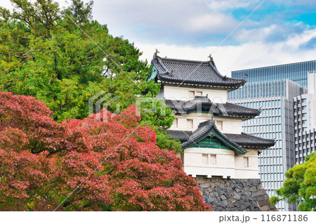 皇居 秋の富士見櫓 (東京都千代田区) 皇居 秋の富士見櫓 (東京都千代田区) 116871186