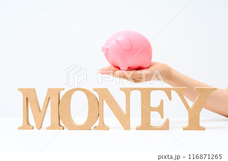 「MONEY」と並べられたアルファベットの木製ブロック 116871265