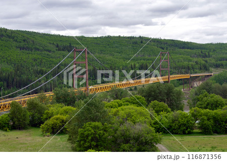 Landscape in summer woodland with yellow bridge and cloudy sky. 116871356