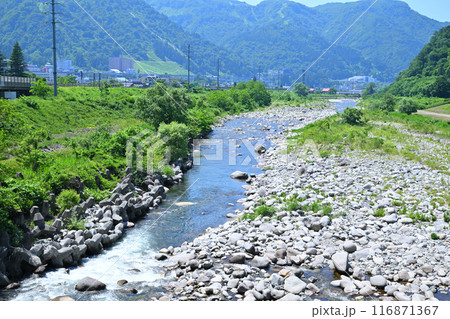 清流魚野川 穴沢河川公園付近の風景 新潟県湯沢町 清流魚野川 穴沢河川公園付近の風景 新潟県湯沢町 116871367