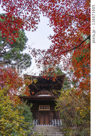 秋の京都　常寂光寺　紅葉と多宝塔 116871605