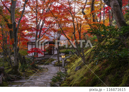 秋の京都　常寂光寺　末吉坂から見る紅葉に包まれた仁王門 116871615