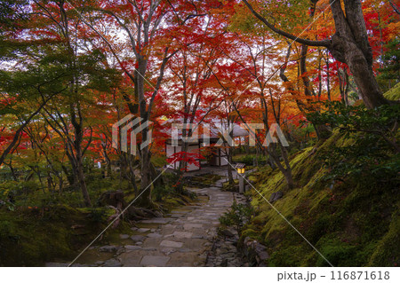 秋の京都 常寂光寺 末吉坂から見る紅葉に包まれた仁王門 秋の京都 常寂光寺 末吉坂から見る紅葉に包まれた仁王門 116871618