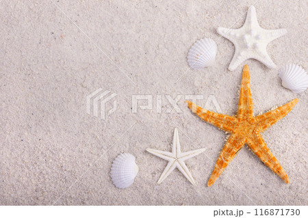 Border with yellow star fish and seashells on white sand. Border with yellow star fish and seashells on white sand. 116871730