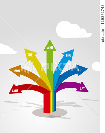 7本の矢印で木をあらわす1週間の虹色インフォグラフィック　ベクターイラストレーション 116871748