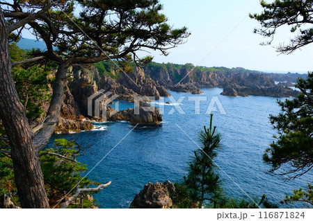 尖閣湾揚島遊園 116871824