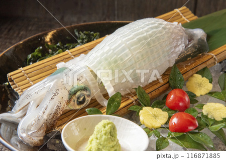 イカの活き造り 116871885