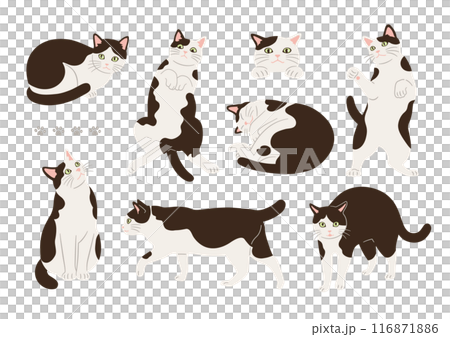 かわいい白黒猫のいろいろなポーズのイラスト 116871886