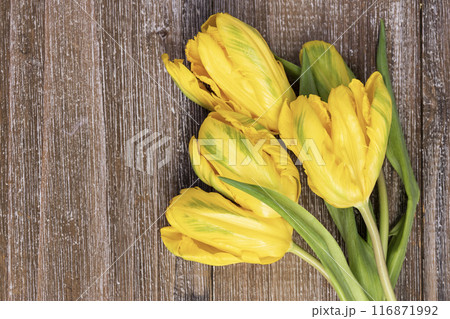 Bunch of yellow tulips with leaves on the brown wooden table. Bunch of yellow tulips with leaves on the brown wooden table. 116871992