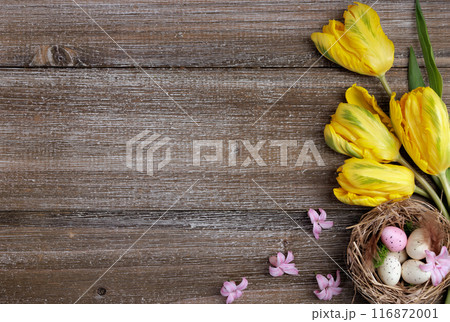 Easter composition with nest and eggs, yellow tulips and hyacinth. 116872001
