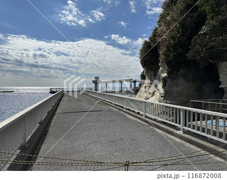 かつうら海中公園海中展望塔 かつうら海中公園海中展望塔 116872008