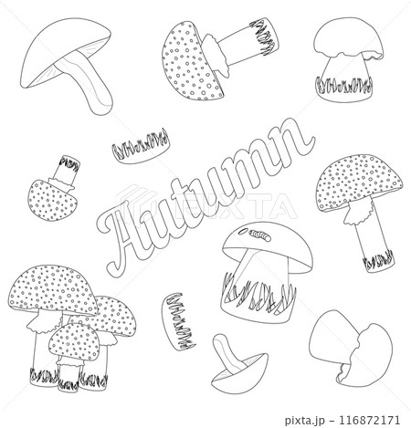 Detailed coloring page featuring various autumn mushrooms. Ideal for kids and adults to enjoy a relaxing and creative activity. Detailed coloring page featuring various autumn mushrooms. Ideal for kids and adults to enjoy a relaxing and creative activity. 116872171